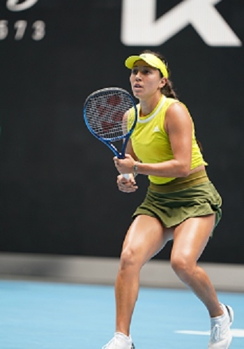 似乎成了提 似乎成了提